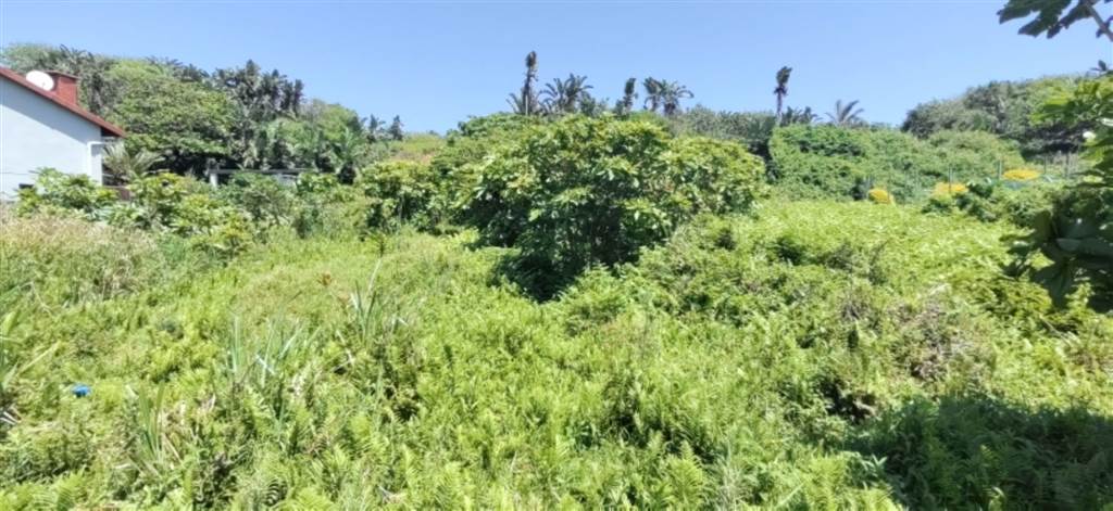 929 m² Land available in Hibberdene photo number 4
