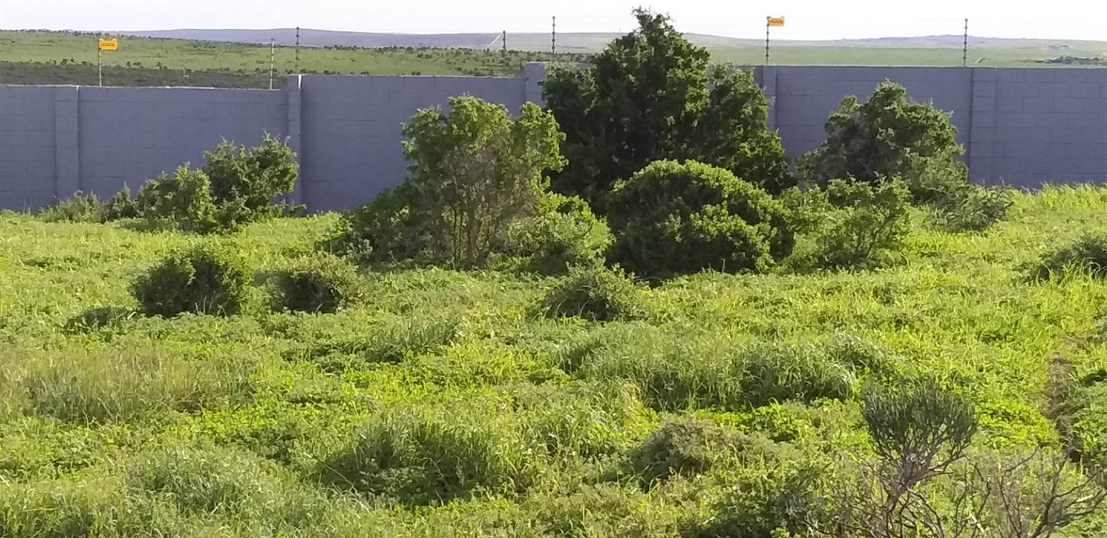 874 m² Land available in Saldanha photo number 6