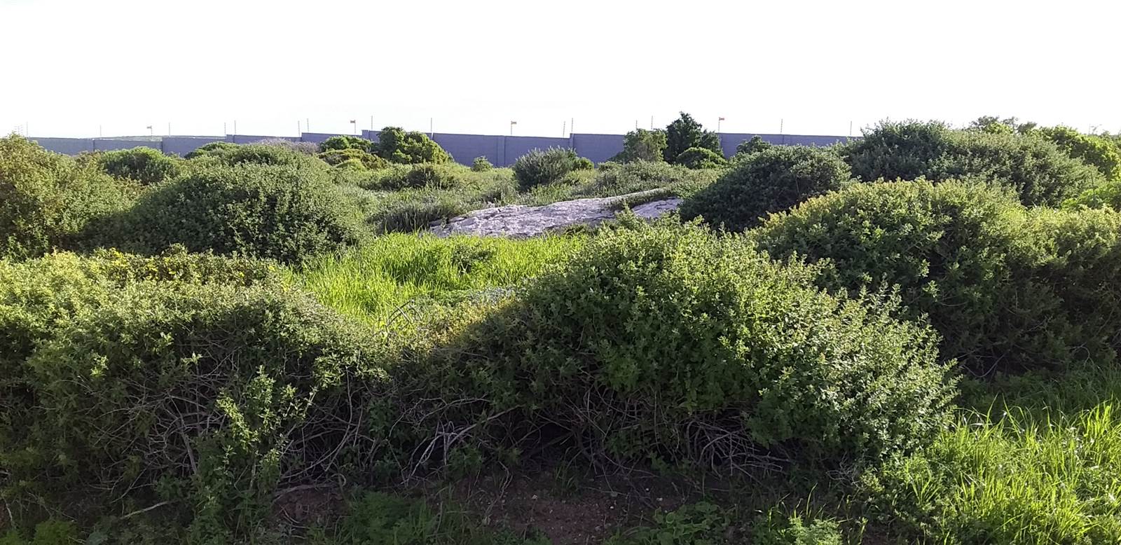 874 m² Land available in Saldanha photo number 4