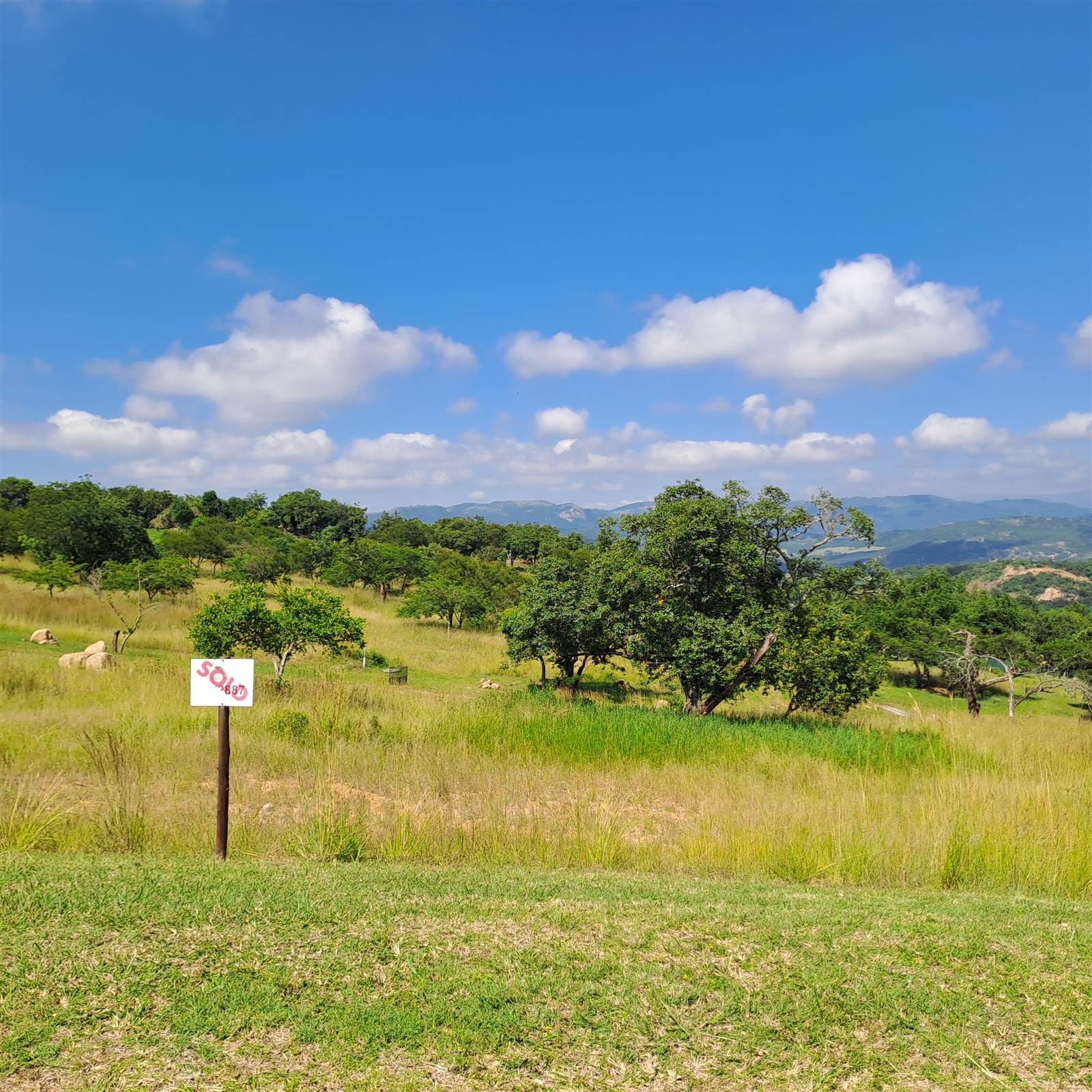 1036 m² Land available in Sonheuwel photo number 1