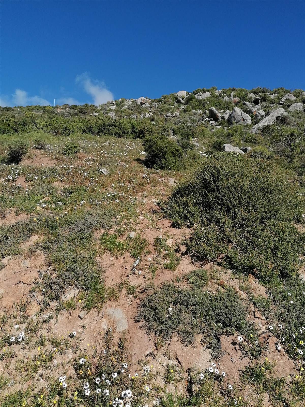 773 m² Land available in Saldanha photo number 9