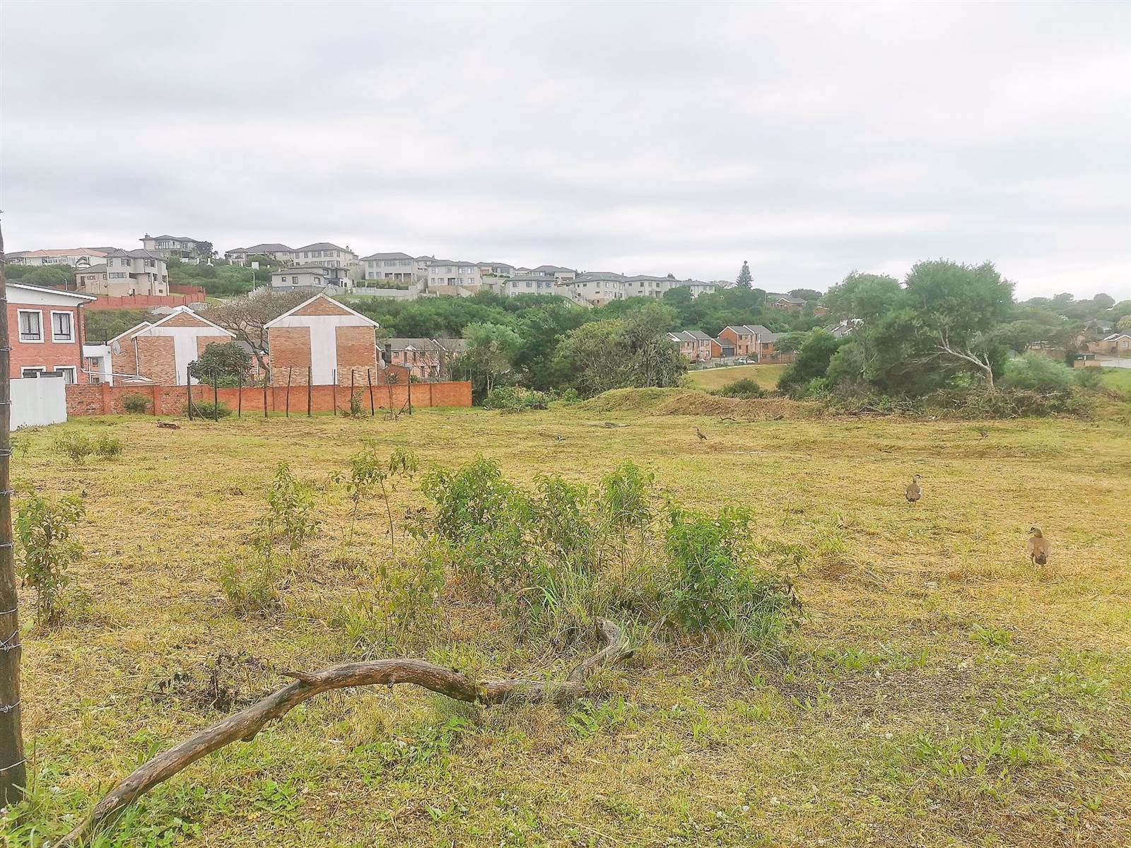 631 m² Land available in Lovemore Park photo number 3