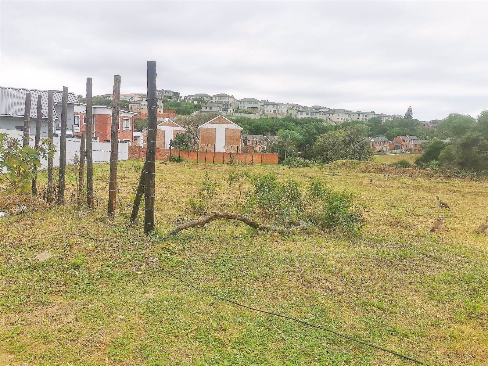 631 m² Land available in Lovemore Park photo number 5