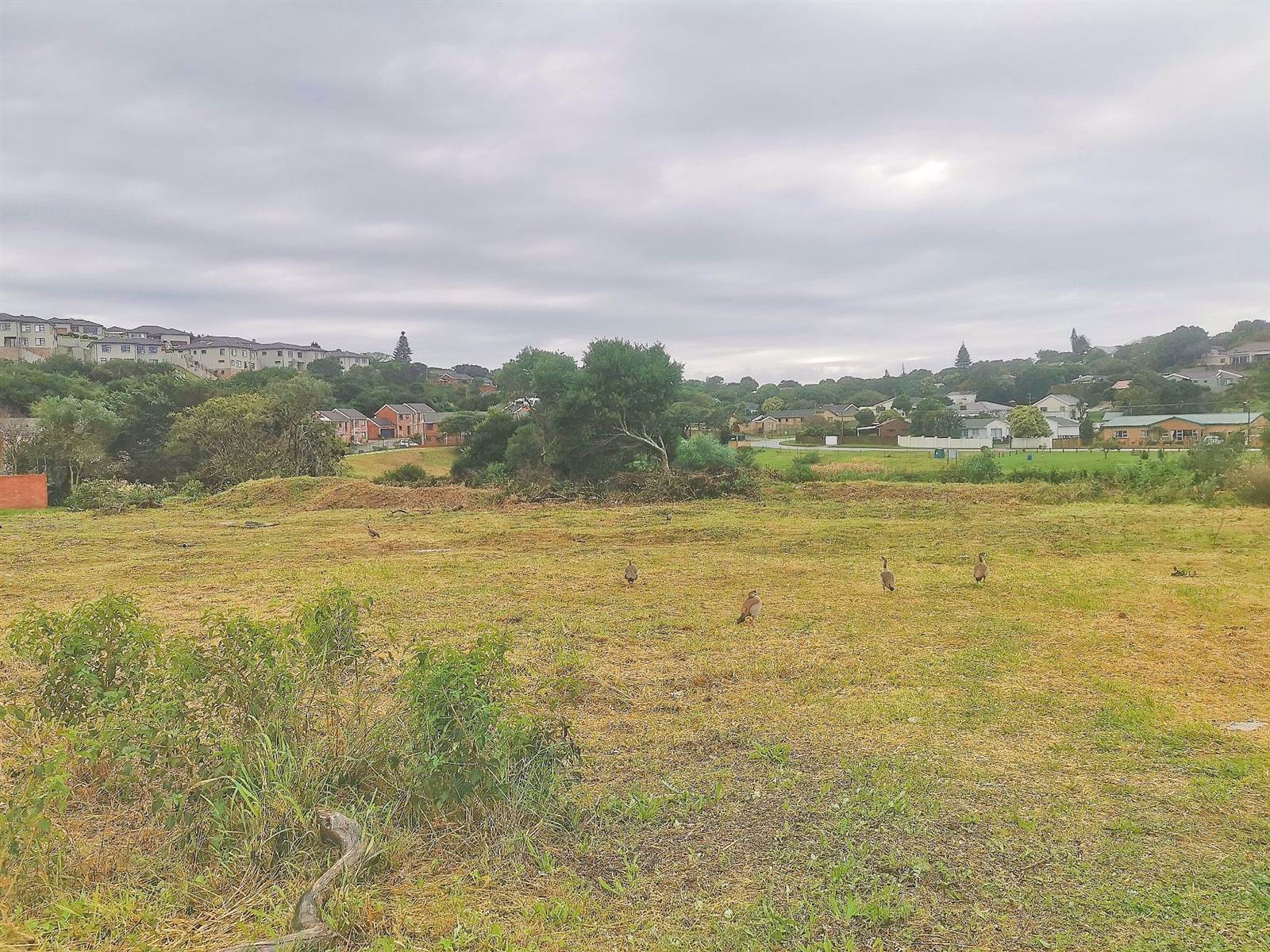 631 m² Land available in Lovemore Park photo number 1