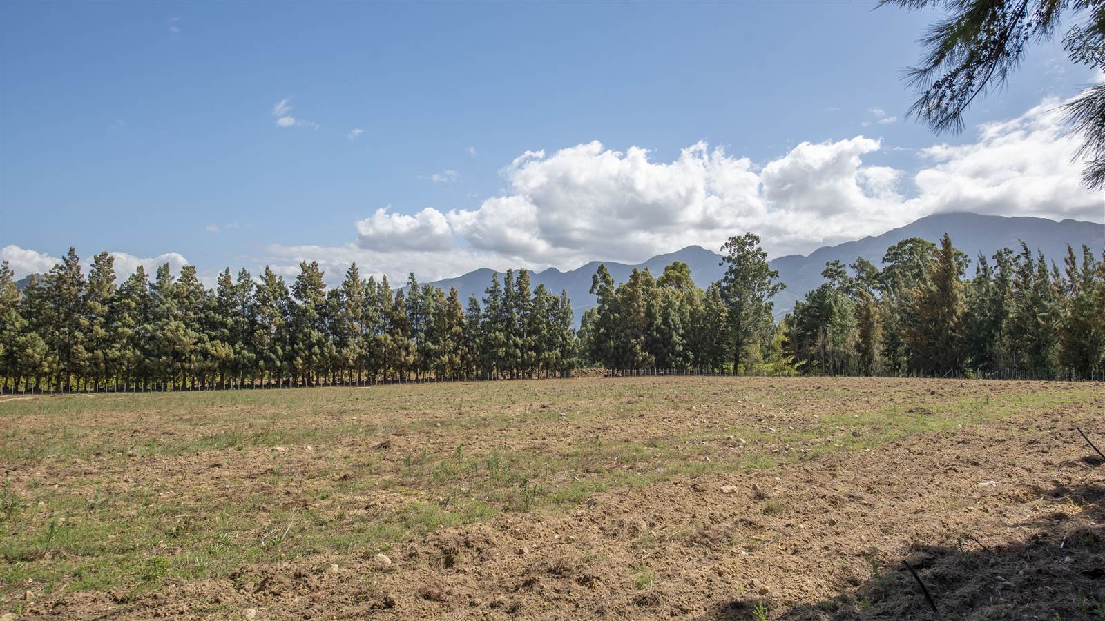 20 ha Farm in Franschhoek photo number 22