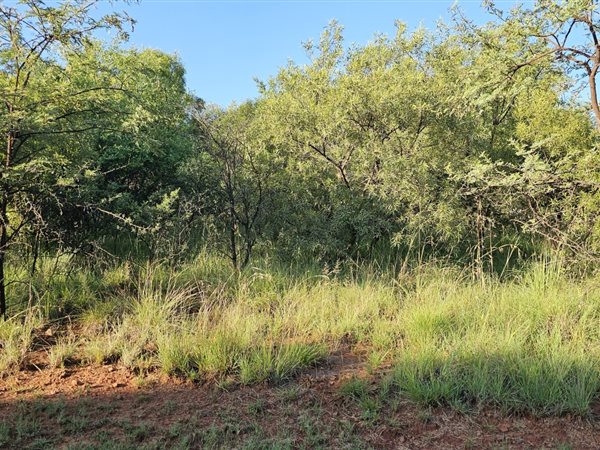 754 m² Land 754 m² Land