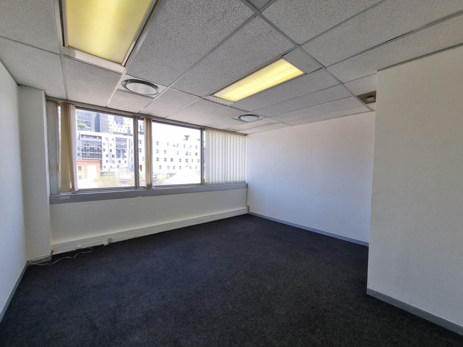 55  m² Commercial space in Hatfield photo number 13