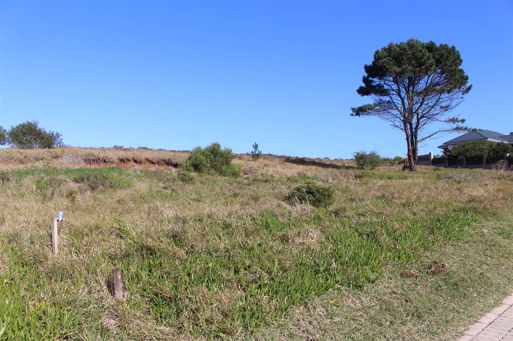 1482 m² Land available in Kragga Kamma photo number 5