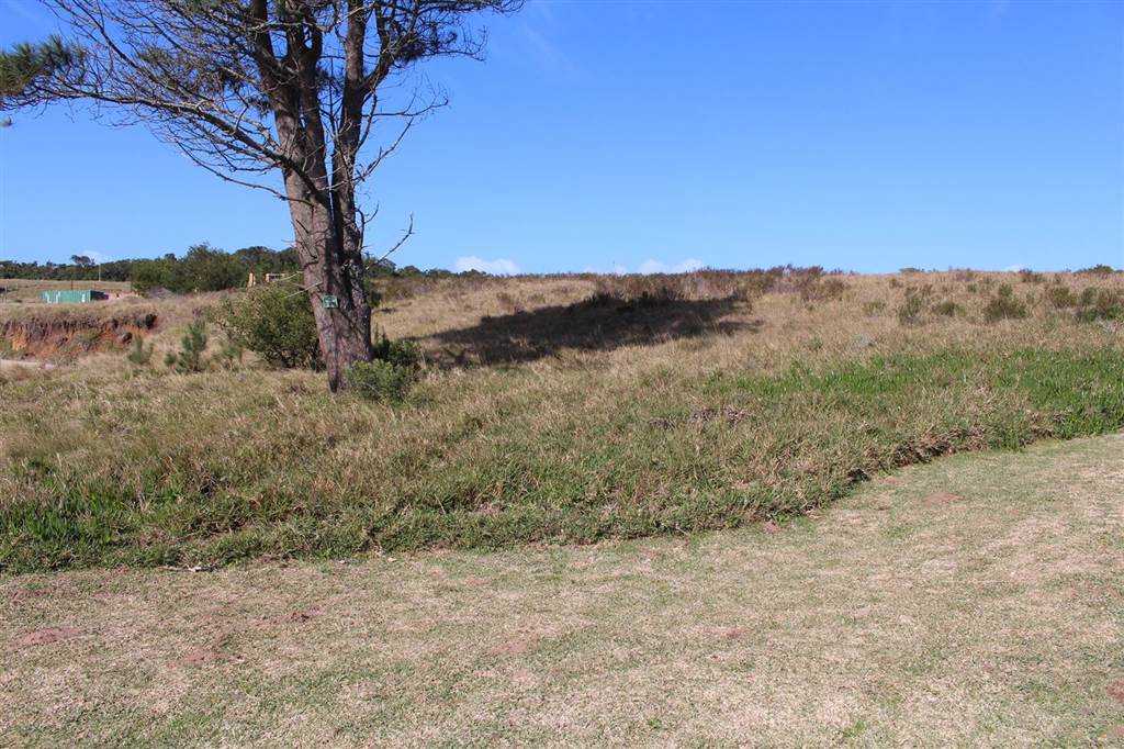 1482 m² Land available in Kragga Kamma photo number 3