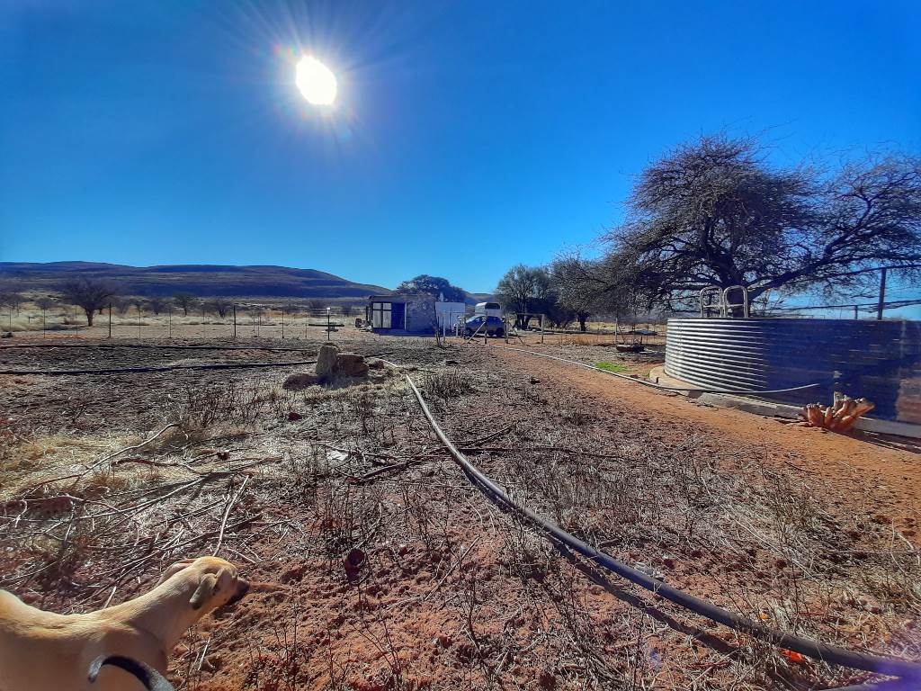 100 ha Smallholding in Olifantshoek photo number 7