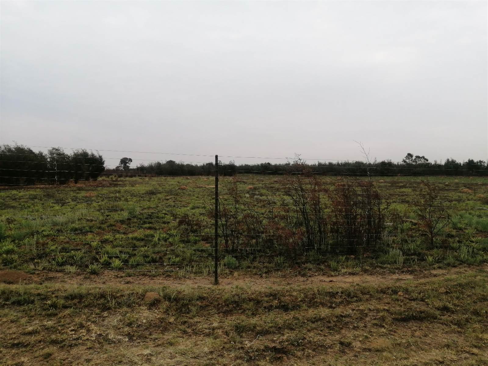 8.5 ha Land available in Hartzenbergfontein photo number 11