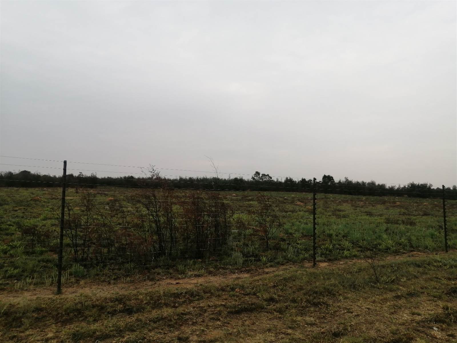 8.5 ha Land available in Hartzenbergfontein photo number 9