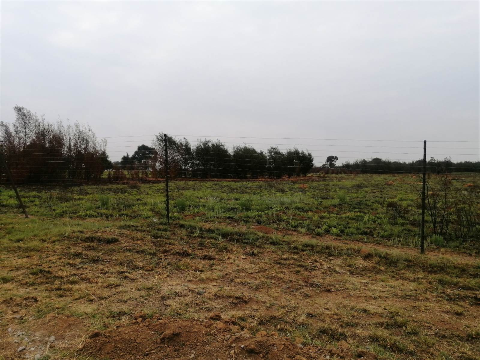 8.5 ha Land available in Hartzenbergfontein photo number 2