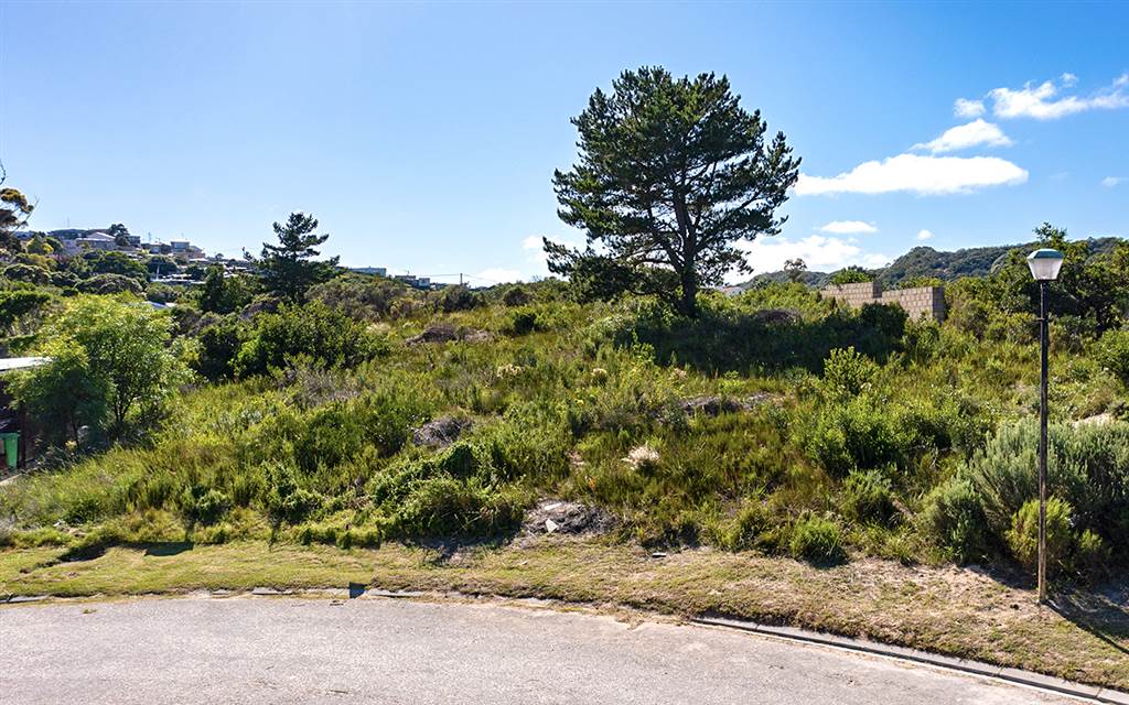 707 m² Land available in Sedgefield photo number 7