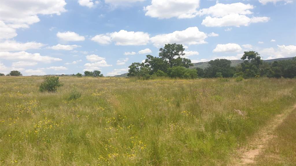 230 m² Land available in Ruimsig photo number 27