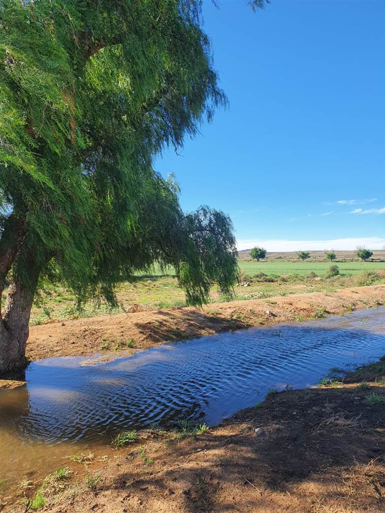 814 ha Land available in Loxton photo number 23
