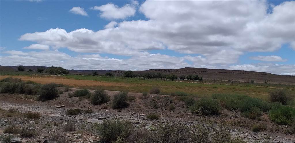 814 ha Land available in Loxton photo number 8