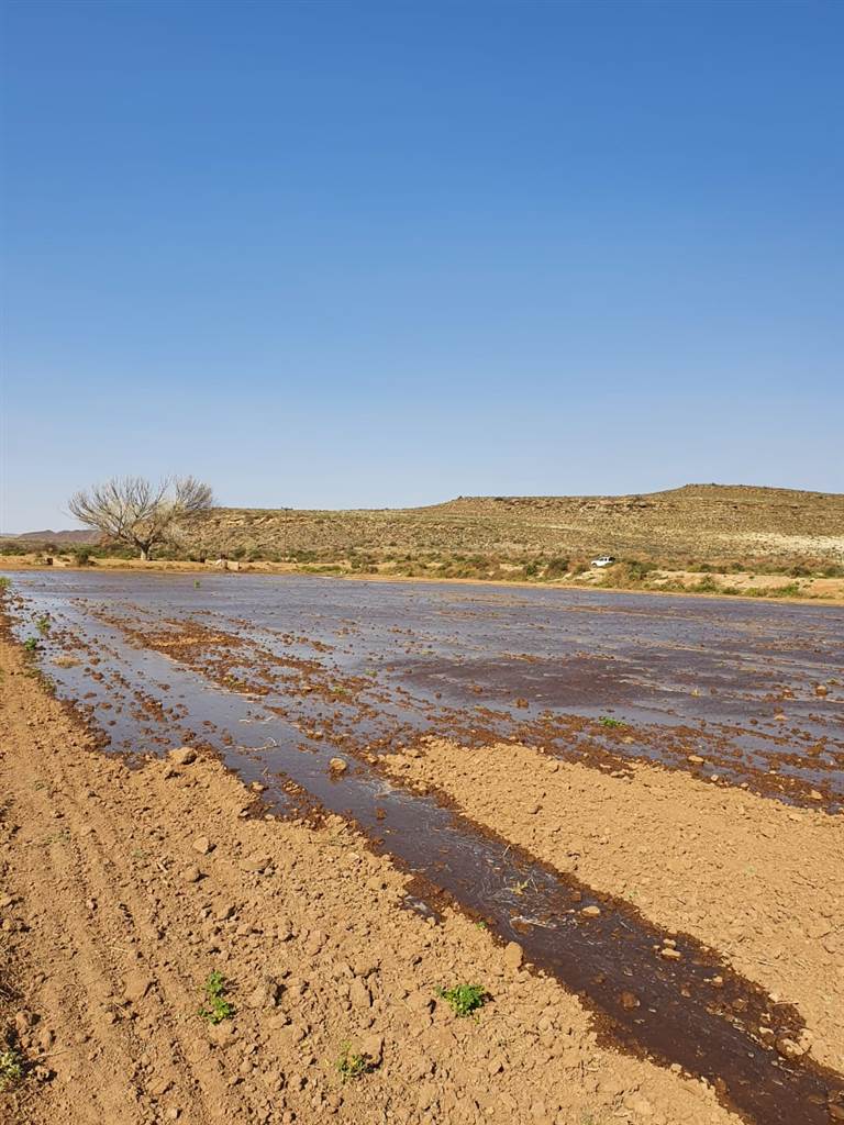 814 ha Land available in Loxton photo number 15