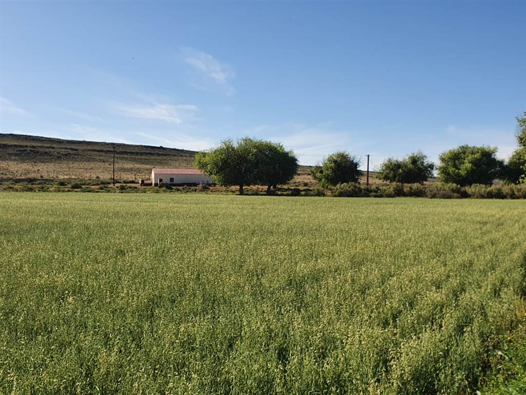 814 ha Land available in Loxton photo number 18