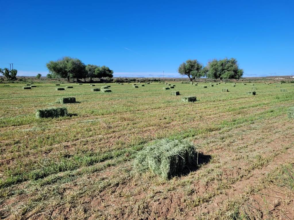814 ha Land available in Loxton photo number 20