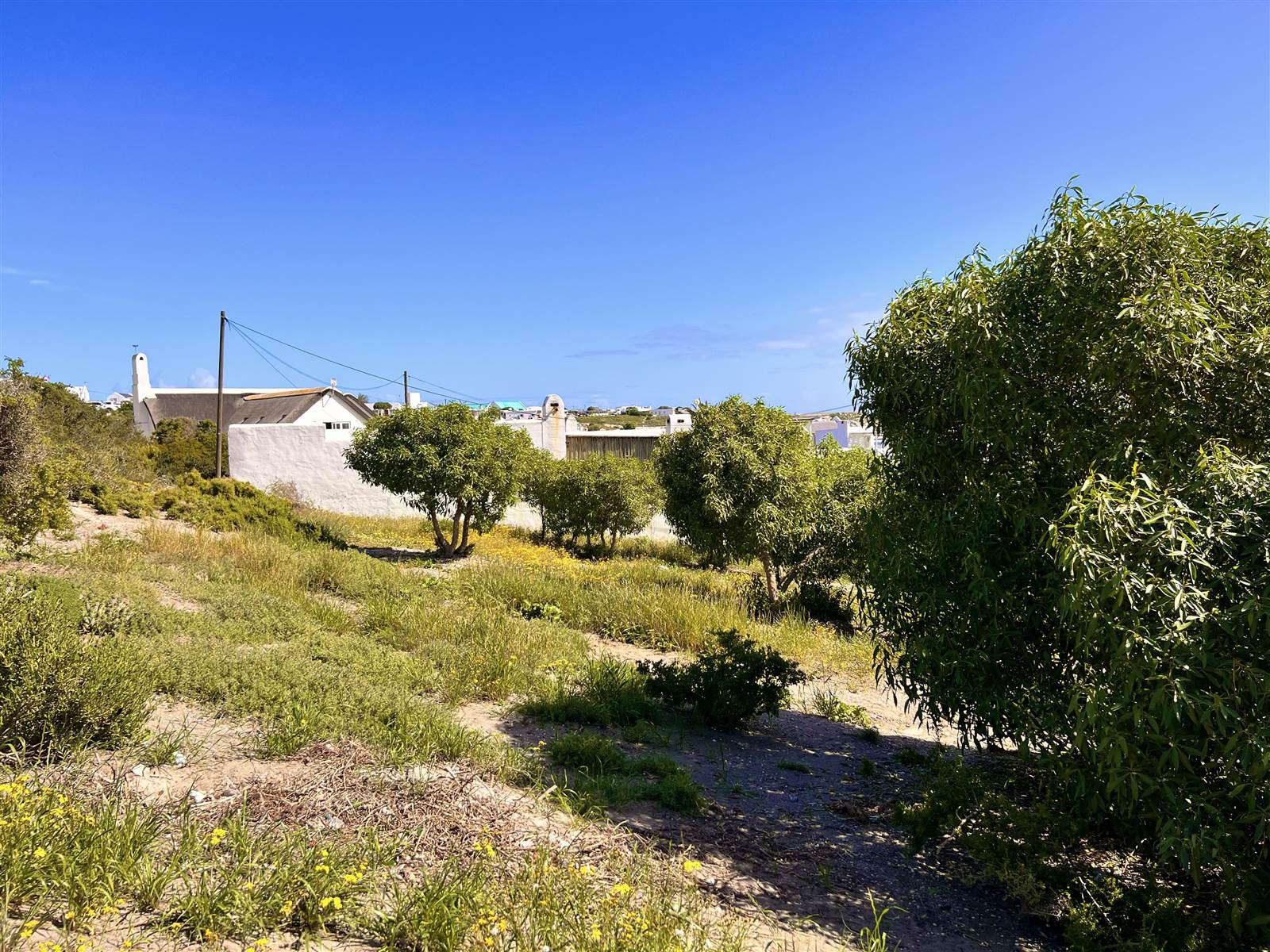 503 m² Land available in Paternoster photo number 6