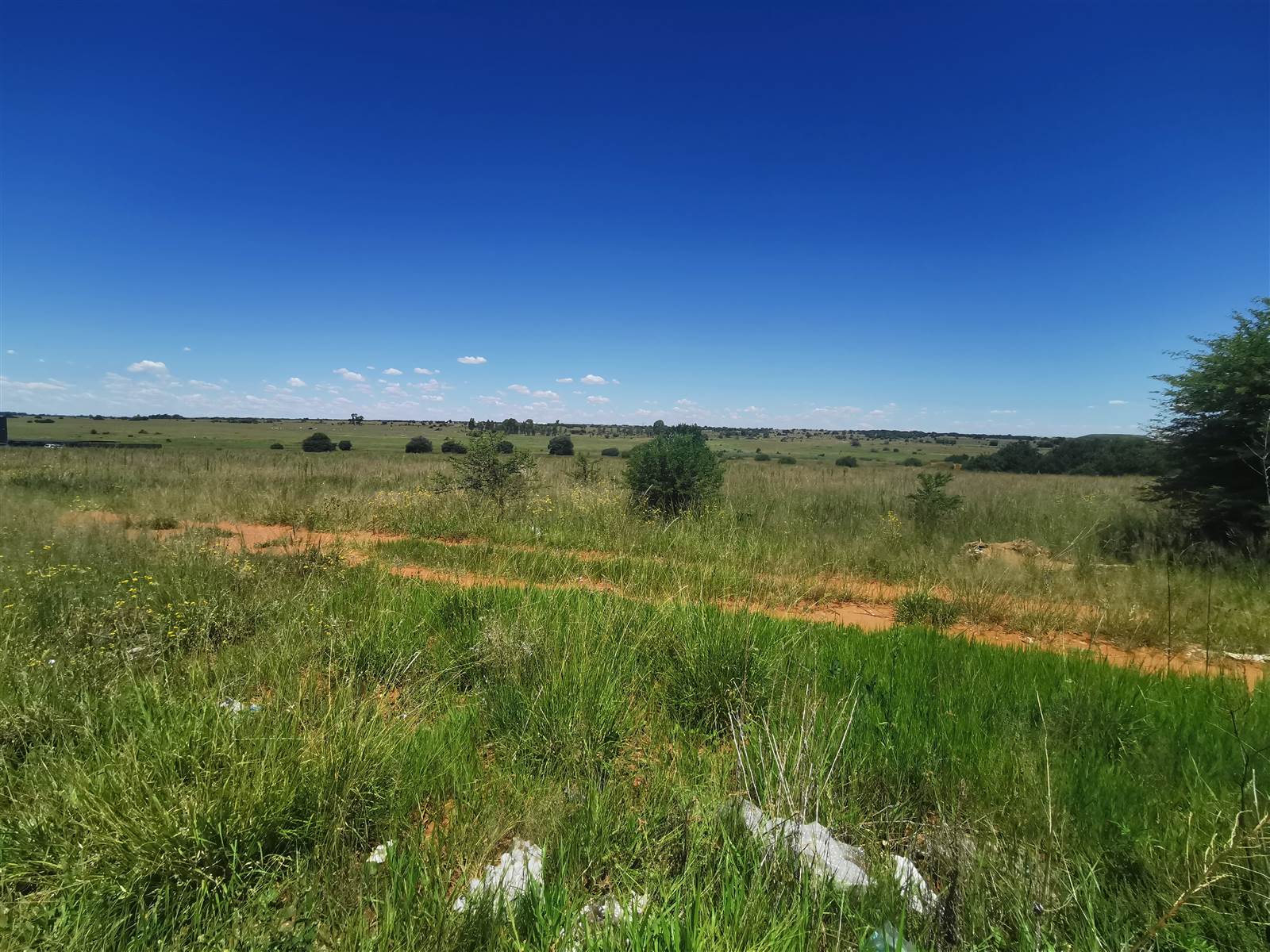 5100 m² Land available in Adamayview photo number 7