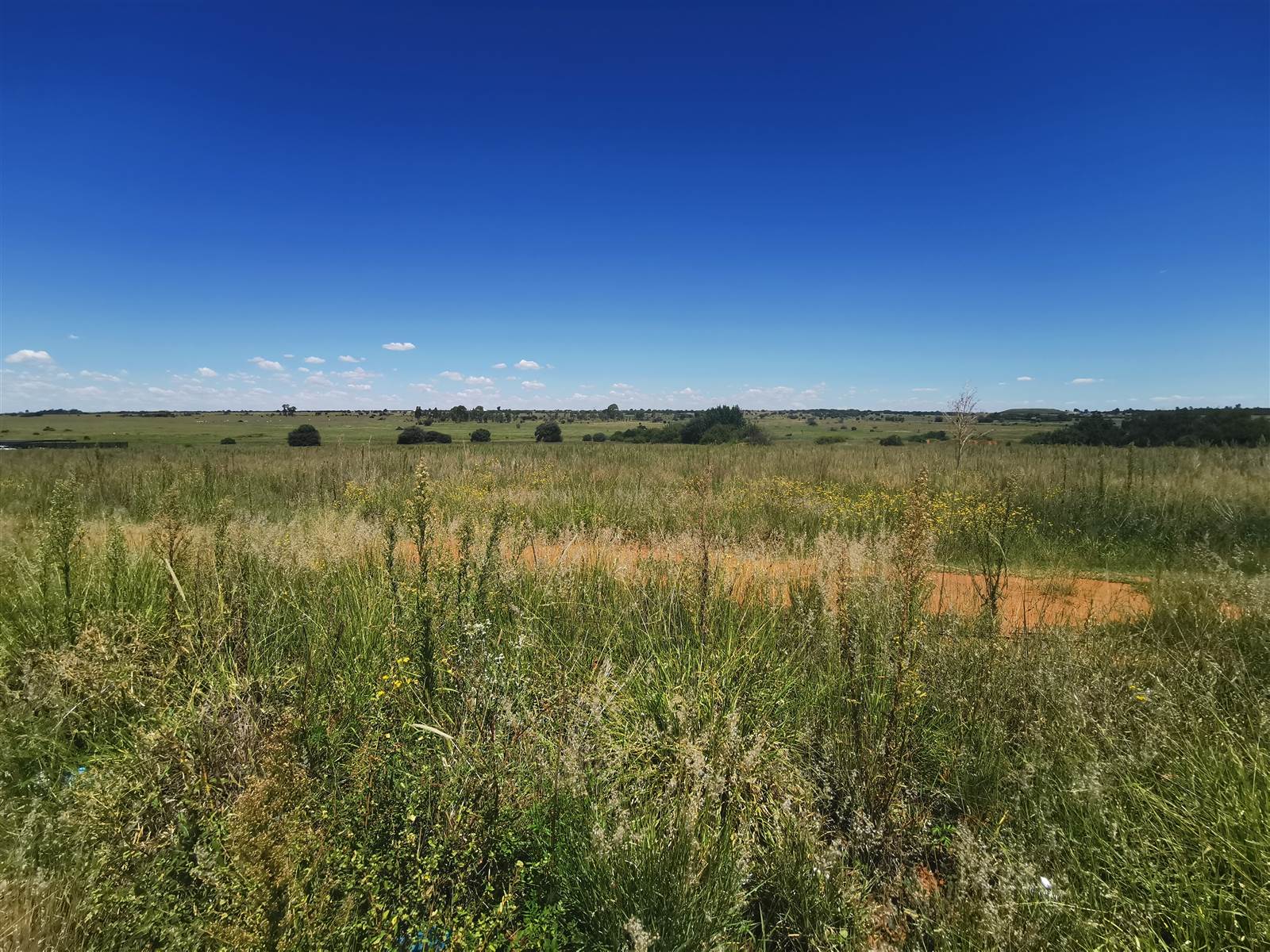 5100 m² Land available in Adamayview photo number 9