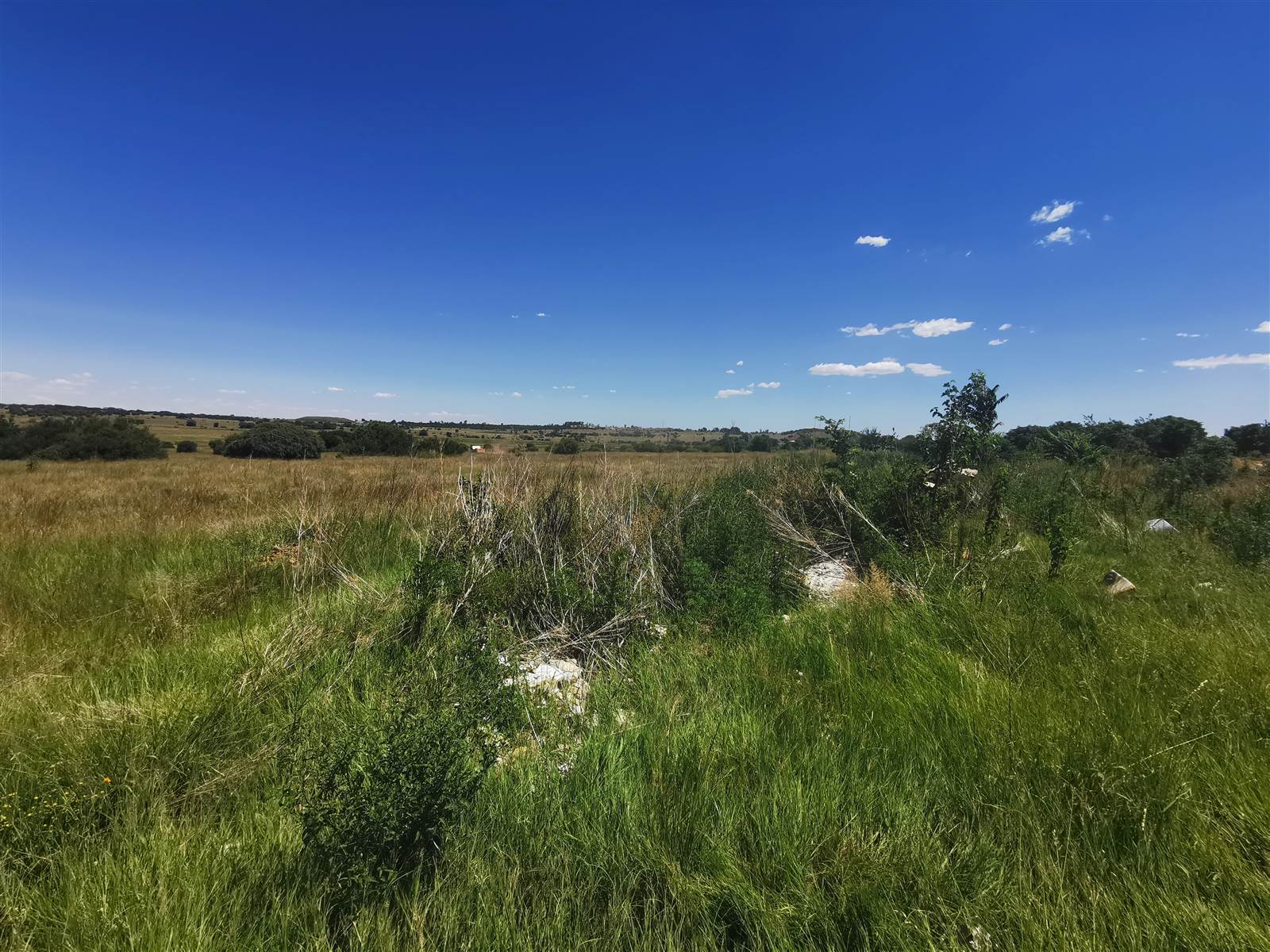 5100 m² Land available in Adamayview photo number 6