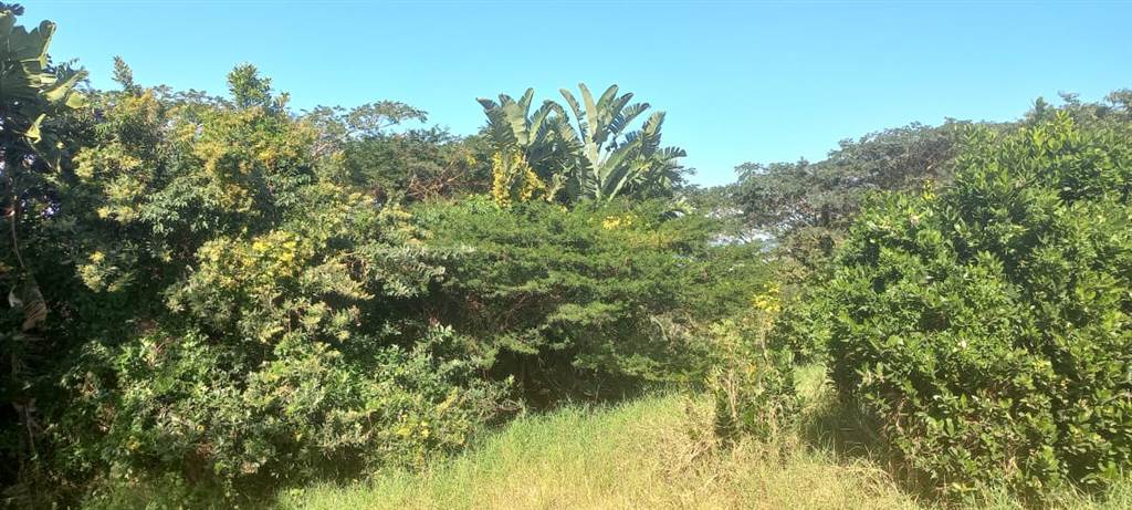 571 m² Land available in Princes Grant Golf Estate photo number 8