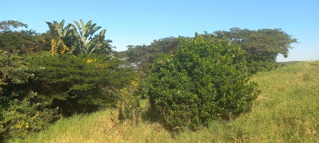 571 m² Land available in Princes Grant Golf Estate photo number 2
