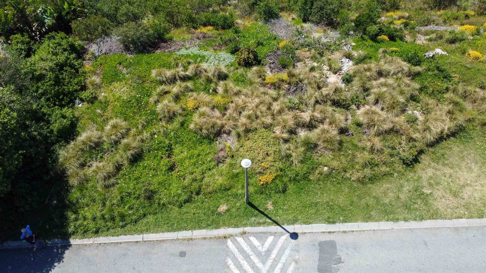 910 m² Land available in Knysna Heights photo number 5