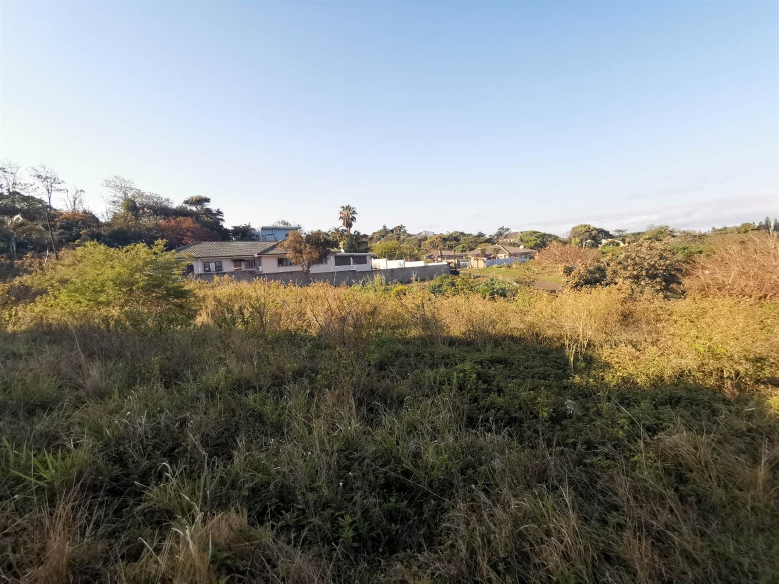 980 m² Land available in Saiccor photo number 13