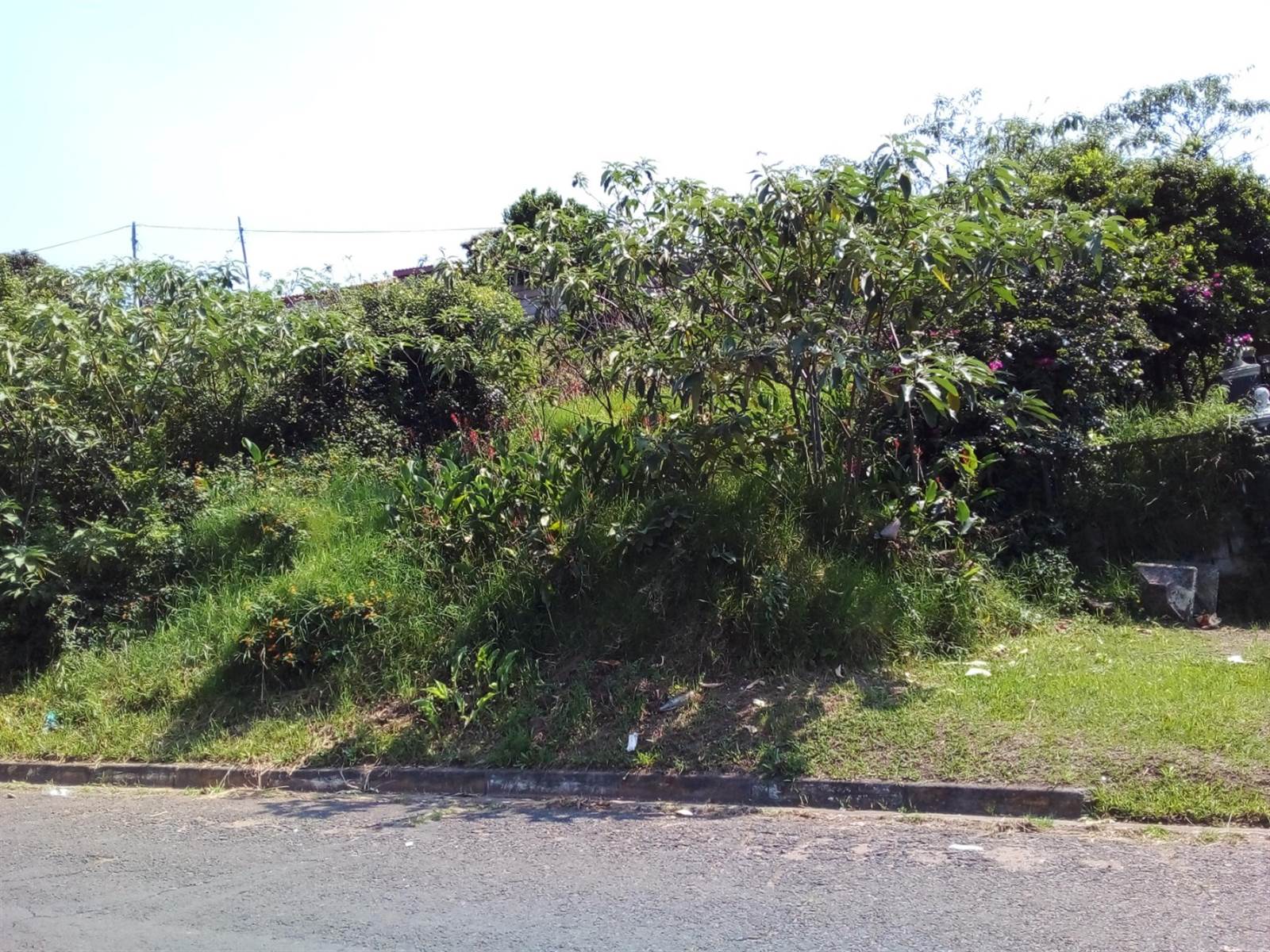 262 m² Land available in Northdale photo number 10