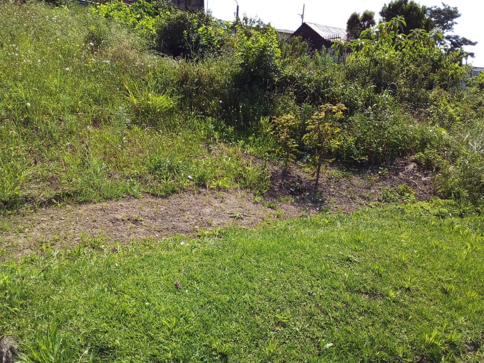 262 m² Land available in Northdale photo number 8