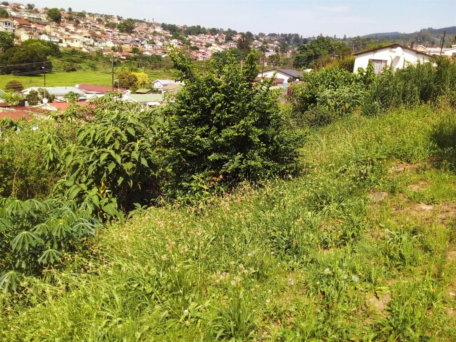 262 m² Land available in Northdale photo number 5