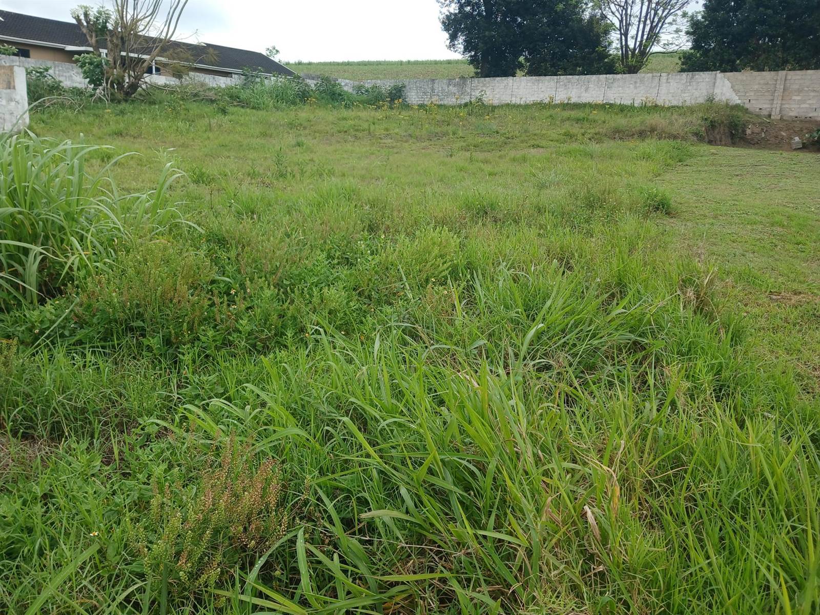 613 m² Land available in High Ridge photo number 8