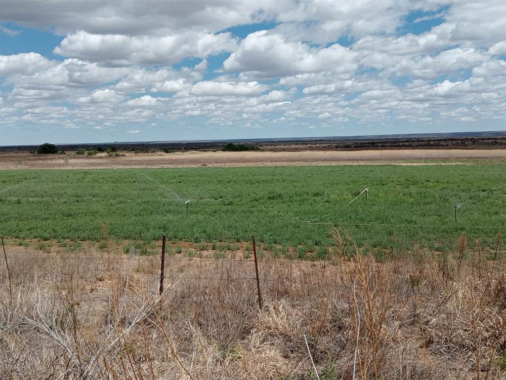 79.8 ha Farm in Barkly West photo number 5