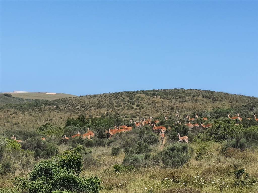1503 m² Land available in Hartenbos photo number 7