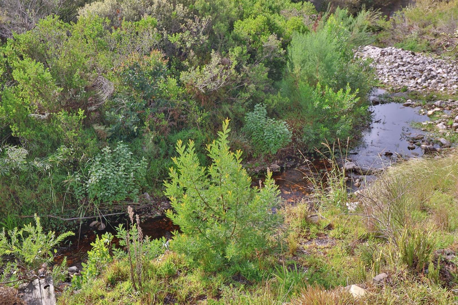 841 m² Land available in Fernkloof photo number 4