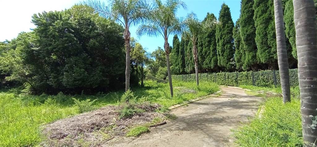 9103 m² Land available in Faerie Glen photo number 10