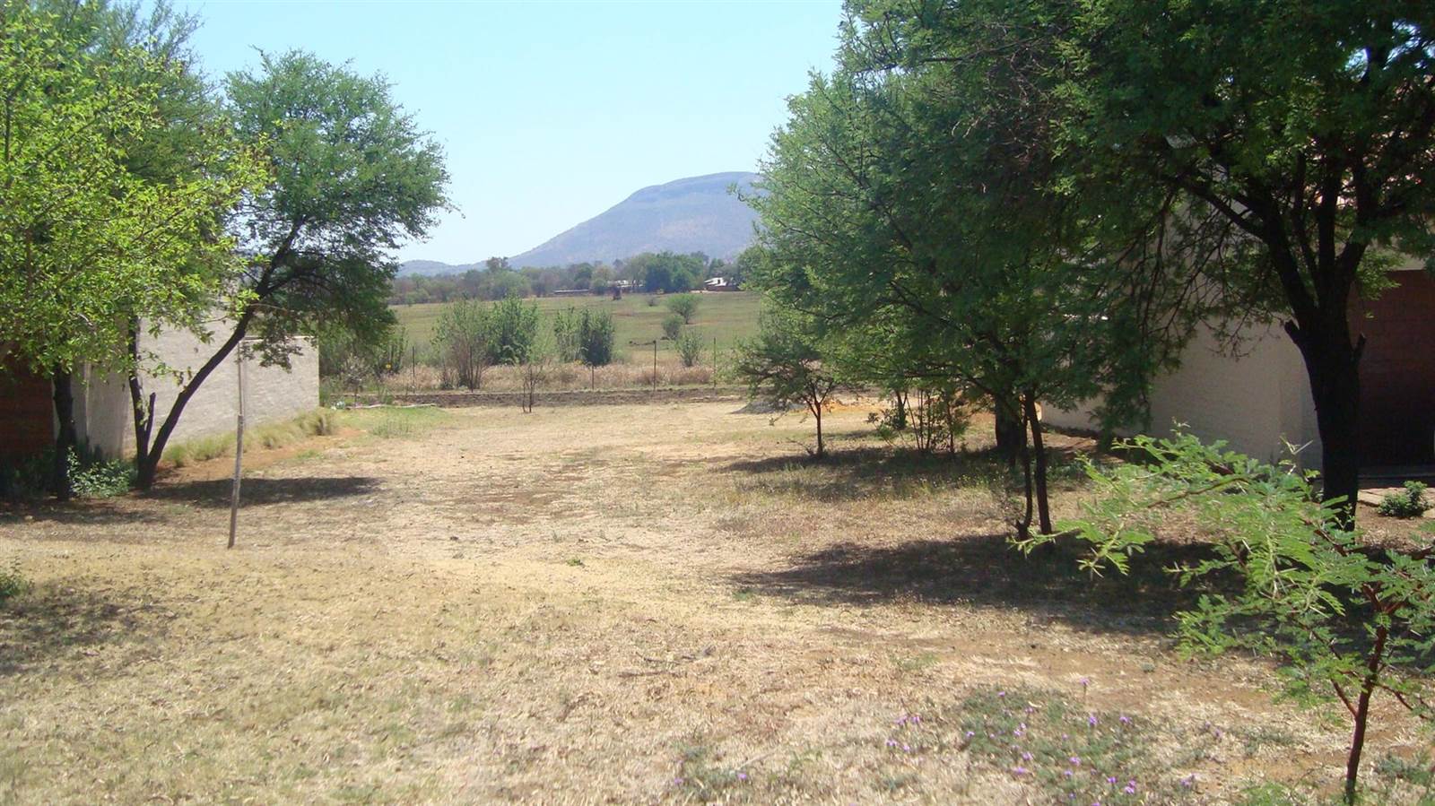 1591 m² Land available in La Camargue photo number 8