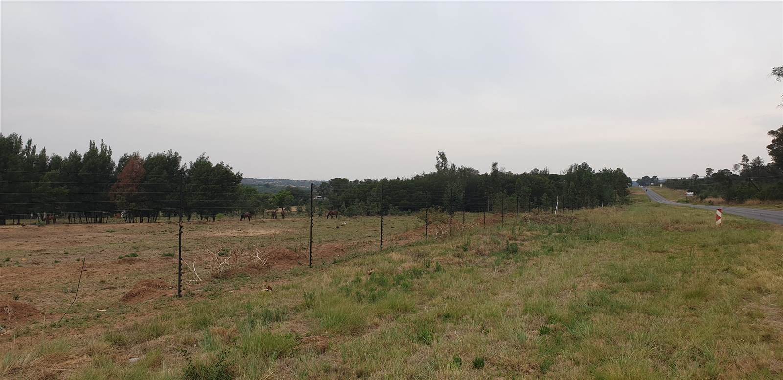 4 ha Land available in Tierpoort photo number 7