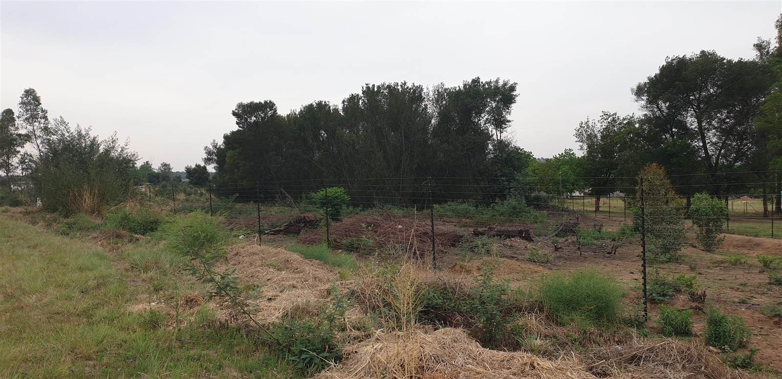 4 ha Land available in Tierpoort photo number 8