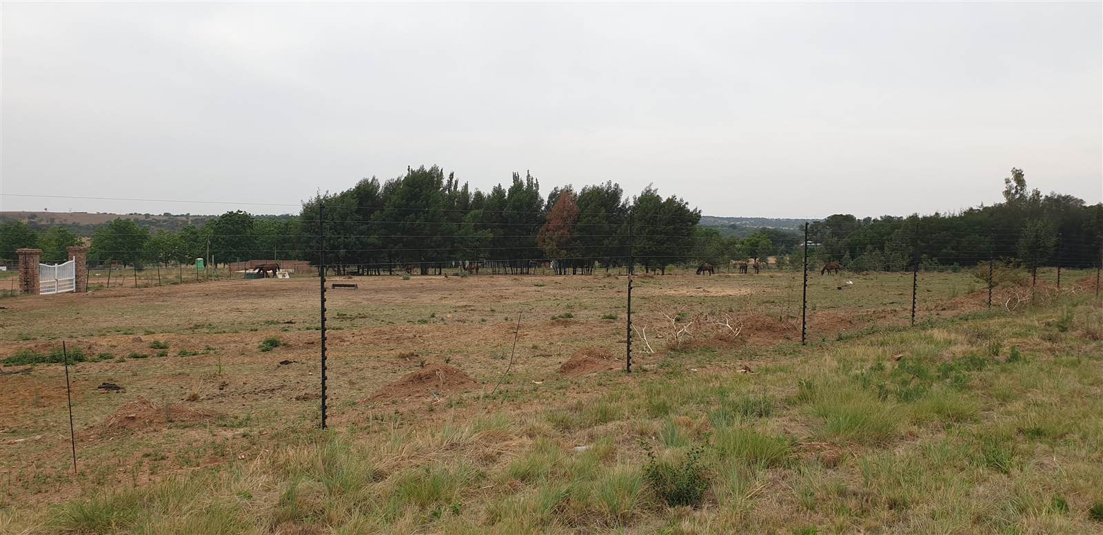 4 ha Land available in Tierpoort photo number 2