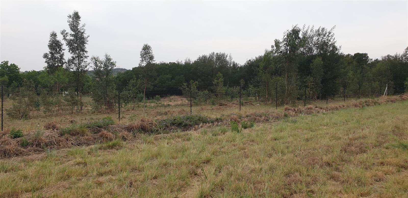 4 ha Land available in Tierpoort photo number 1