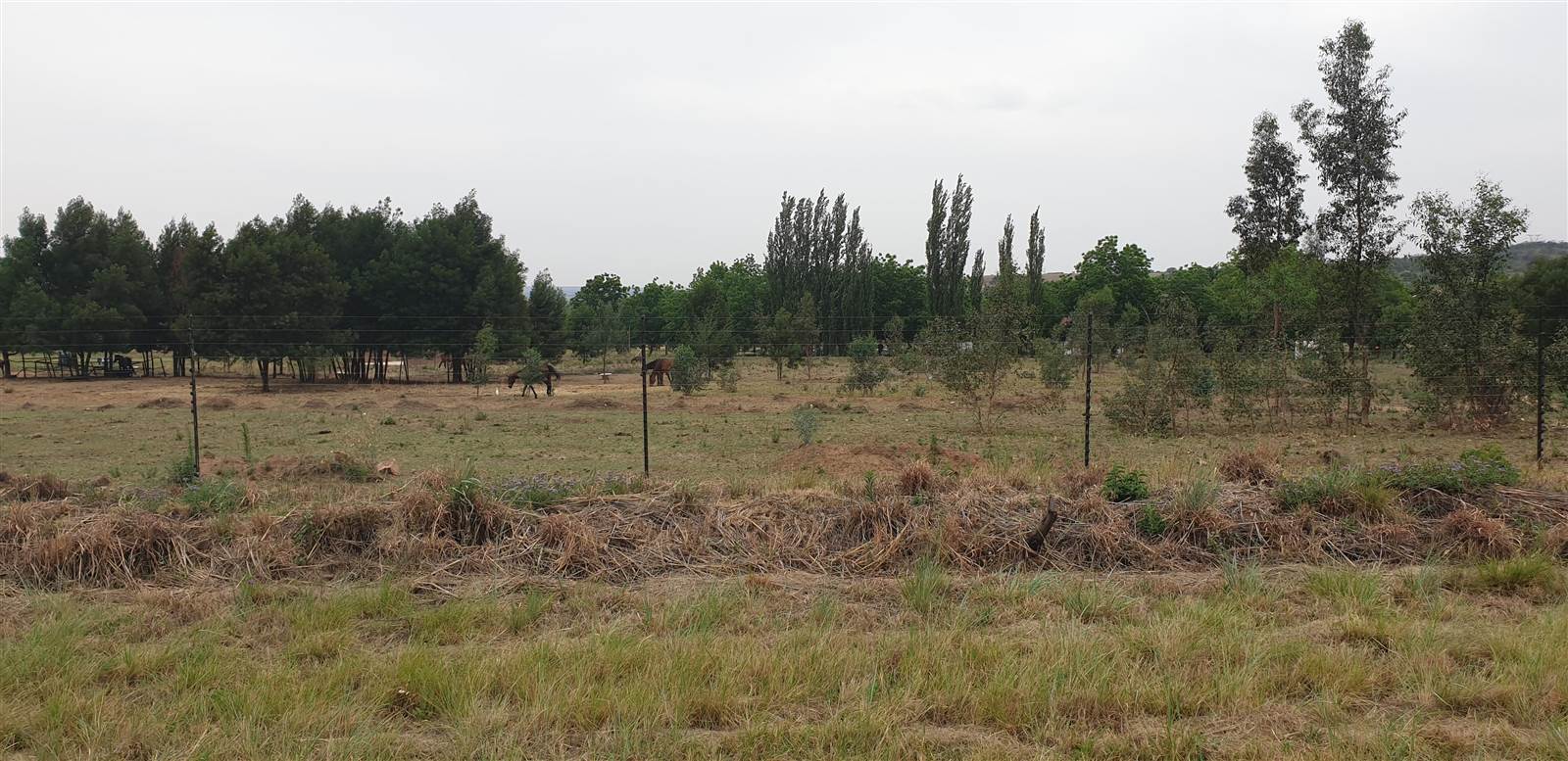 4 ha Land available in Tierpoort photo number 5