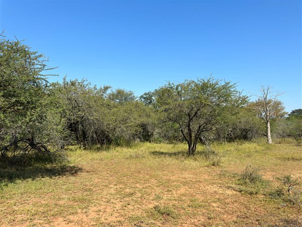 1800 m² Land available in Marloth Park