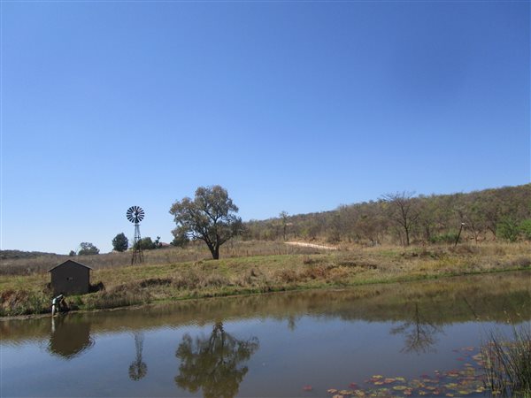 30 ha Farm