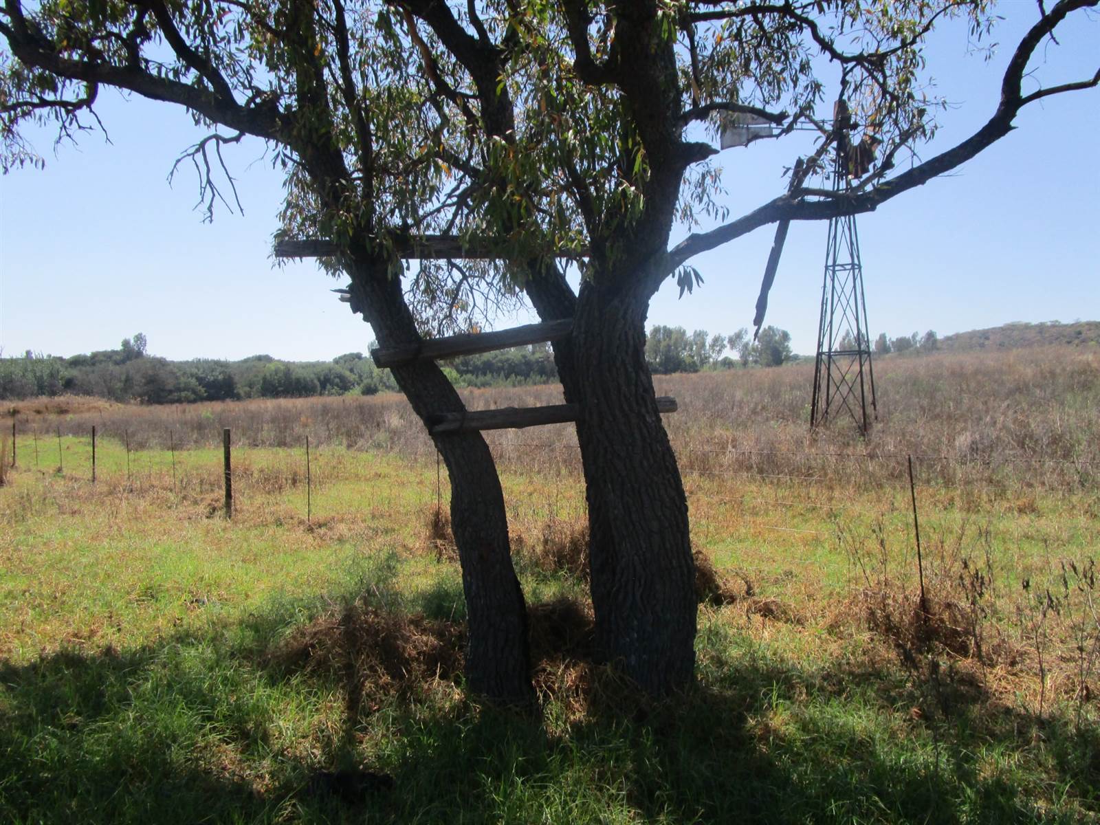 30 ha Farm in Cullinan and Surrounds photo number 19