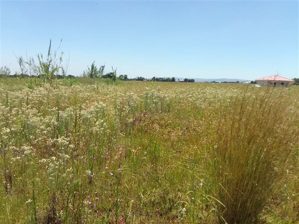 1081 m² Land available in Riversdale